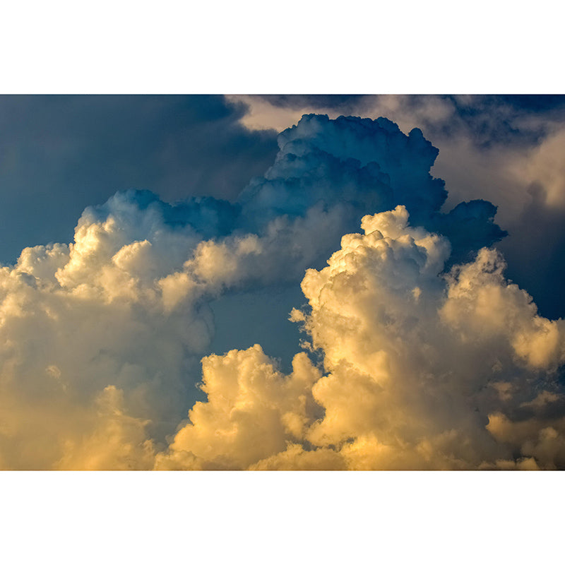 Living Room Contemporary Mildew Resistant Sky Mural Photography Wall Mural