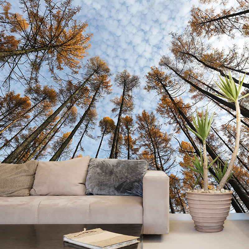 Forest Mural Mildew Resistant Contemporary Photography Living Room Wall Art