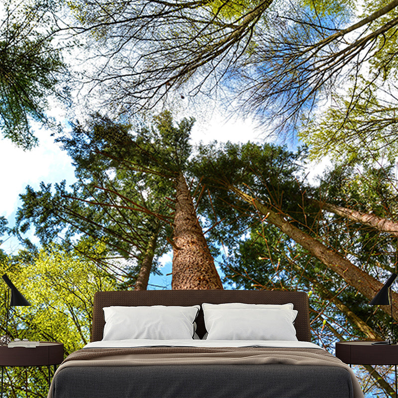 Forest Mural Mildew Resistant Contemporary Photography Living Room Wall Art