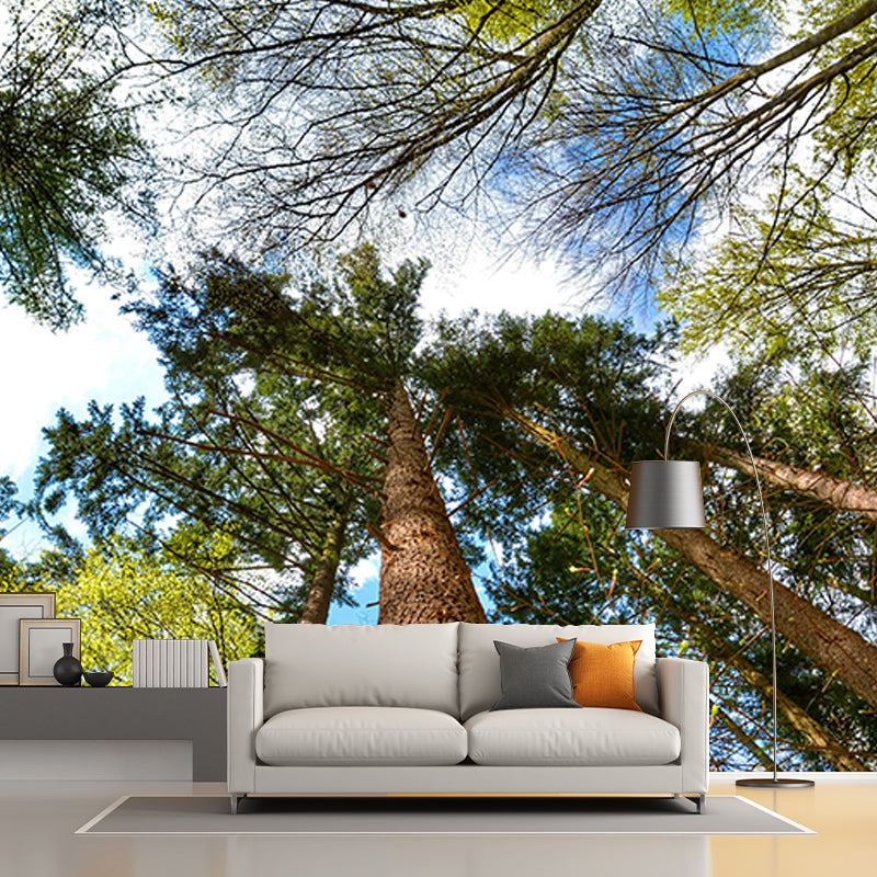 Forest Mural Mildew Resistant Contemporary Photography Living Room Wall Art