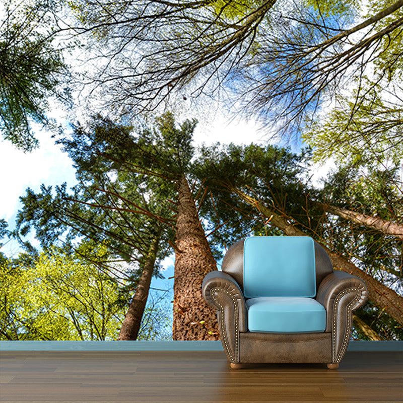 Forest Mural Mildew Resistant Contemporary Photography Living Room Wall Art