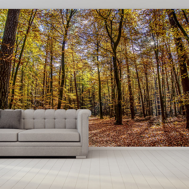 Forest Mural Mildew Resistant Contemporary Photography Living Room Wall Art