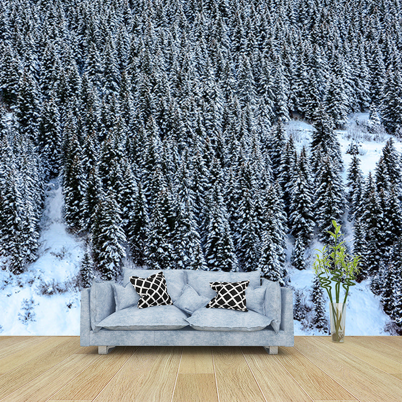 Forest Mural Mildew Resistant Contemporary Photography Living Room Wall Art