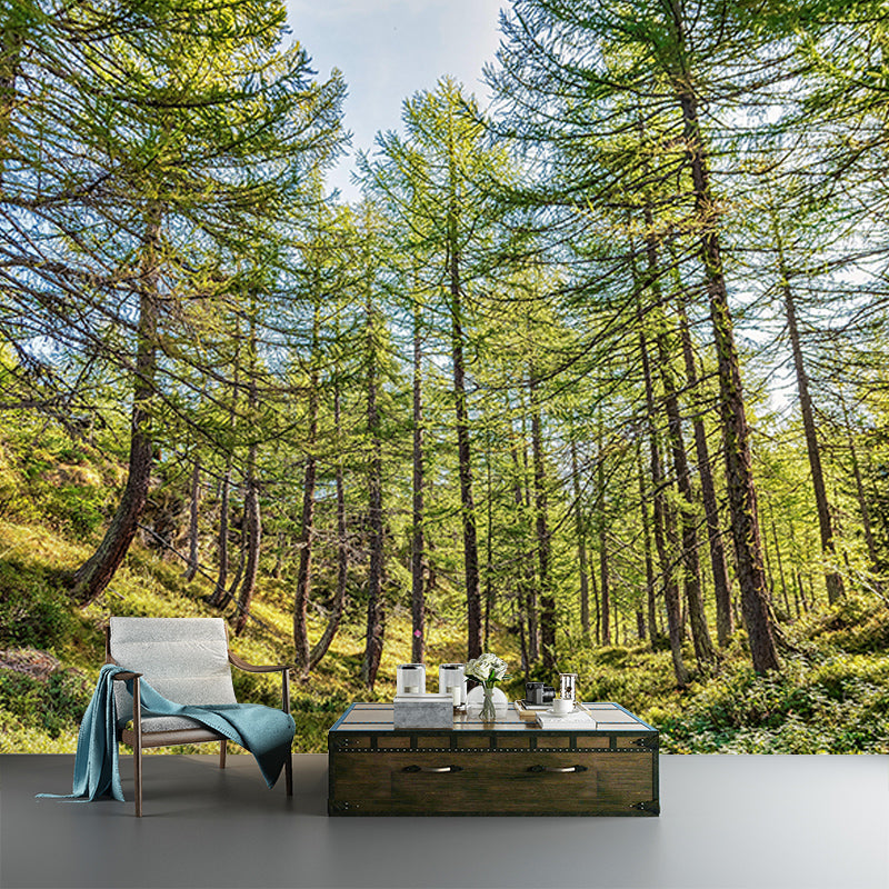 Light Color Forest Mural Contemporary Sleeping Room Wall Mural