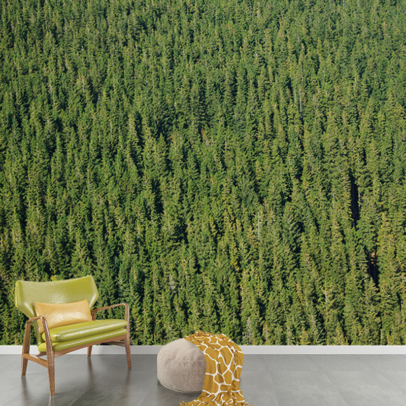 Light Color Forest Mural Contemporary Sleeping Room Wall Mural