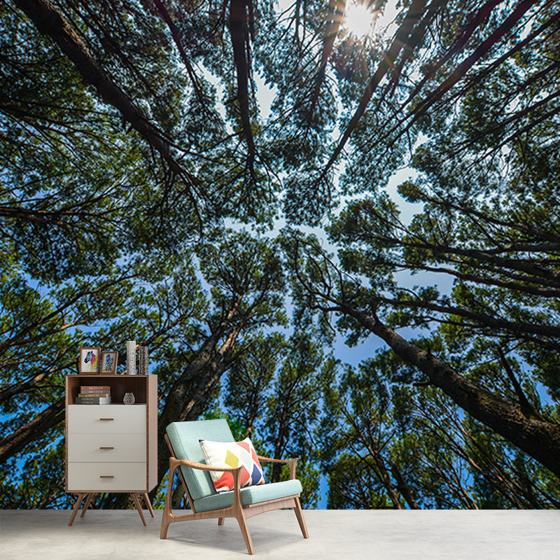 Mildew Resistant Forest Mural Contemporary Sitting Room Wall Mural