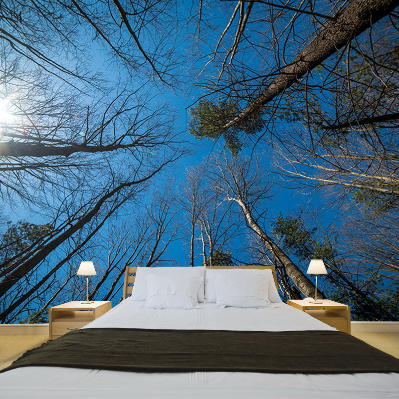 Mildew Resistant Forest Mural Contemporary Sitting Room Wall Mural