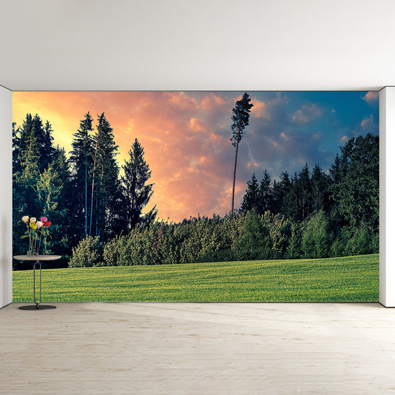 Bright Color Forest Mural Contemporary Living Room Wall Mural