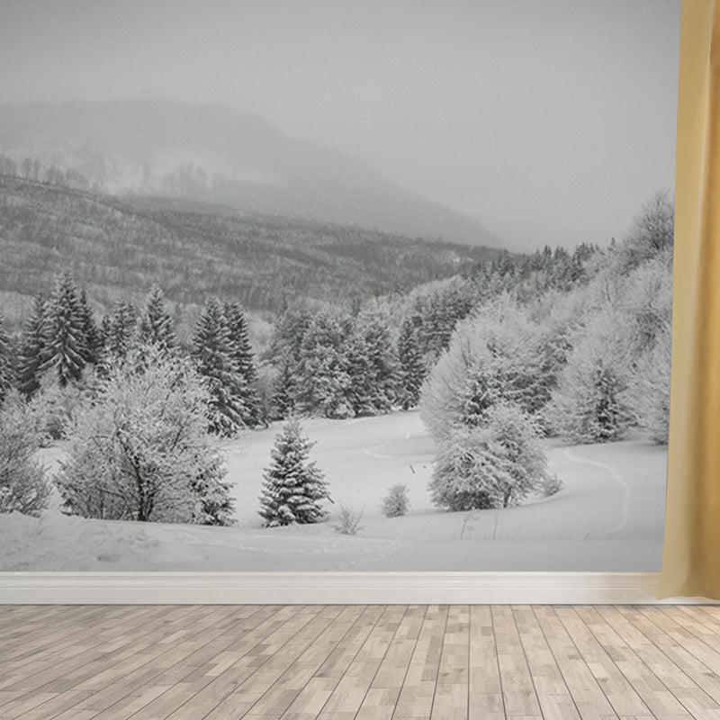 Bright Color Forest Mural Contemporary Living Room Wall Mural