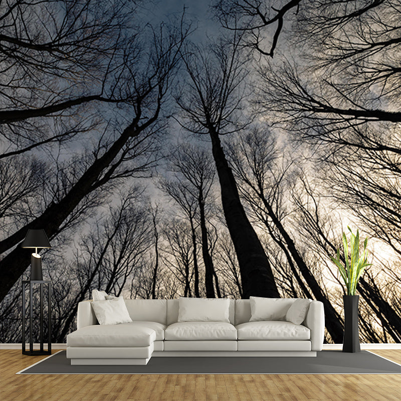 Mildew Resistant Forest Mural Photography Living Room Wall Mural