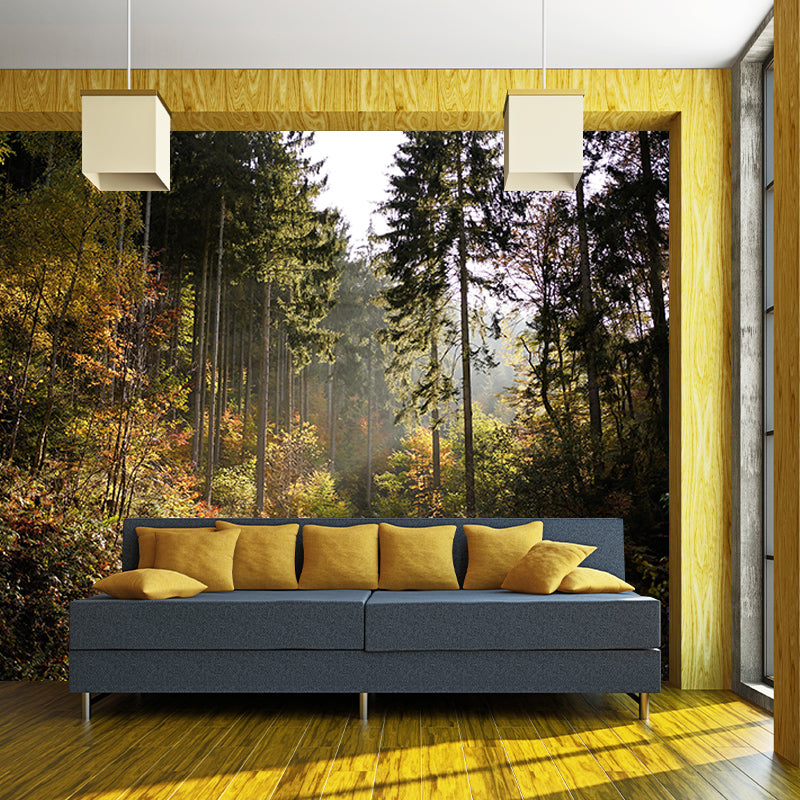 Mildew Resistant Forest Mural Photography Living Room Wall Mural