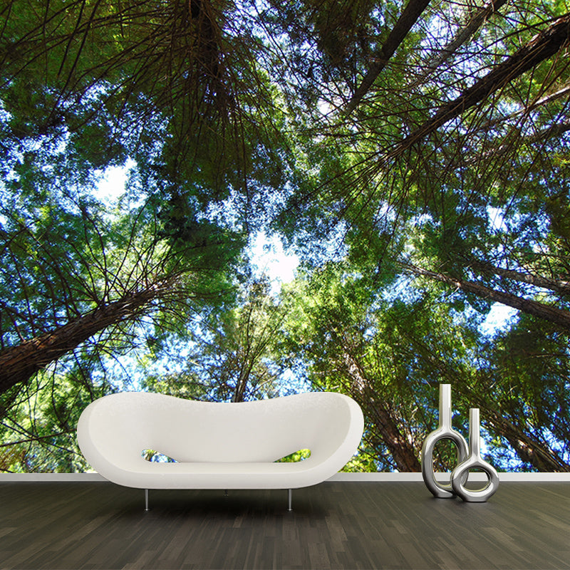 Mildew Resistant Forest Mural Photography Living Room Wall Mural