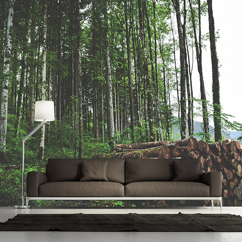 Beautiful Forest Mural Contemporary Photography Sleeping Room Wall Mural