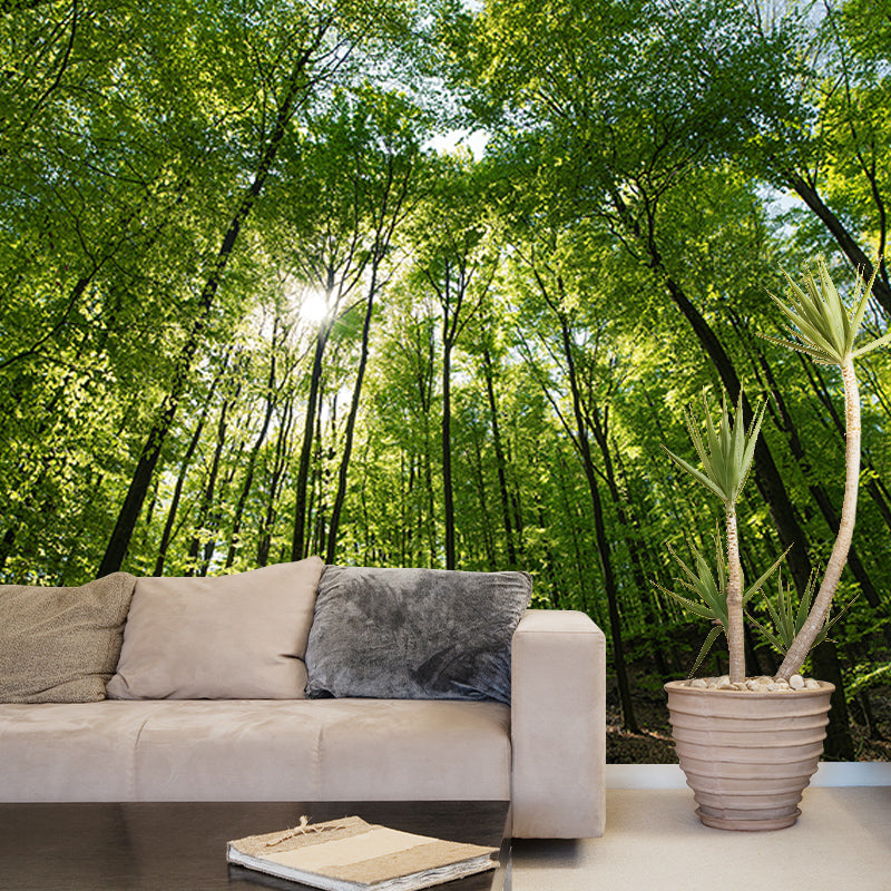 Beautiful Forest Mural Contemporary Photography Sleeping Room Wall Mural