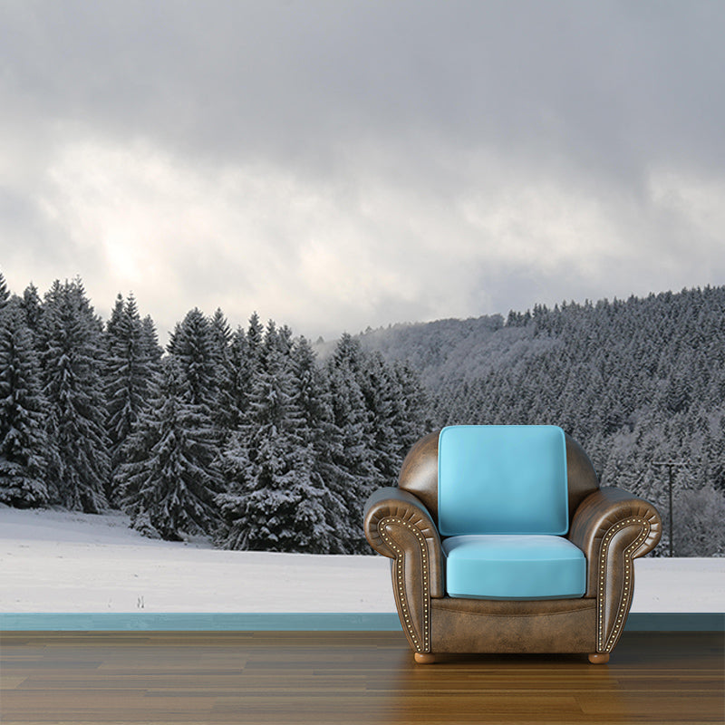 Beautiful Forest Mural Contemporary Photography Sleeping Room Wall Mural