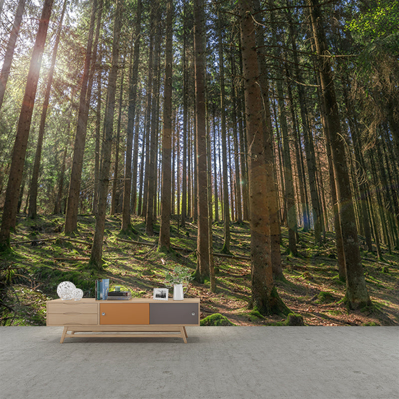 Forest Mural Mildew Resistant Contemporary Photography Sitting Room Wall Mural