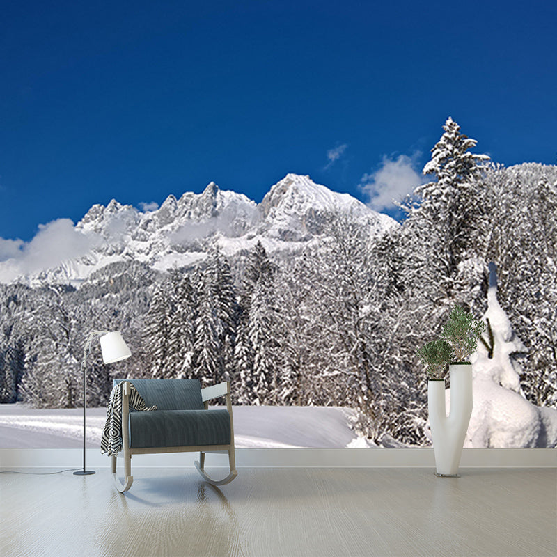 Forest Mural Mildew Resistant Contemporary Photography Sitting Room Wall Mural