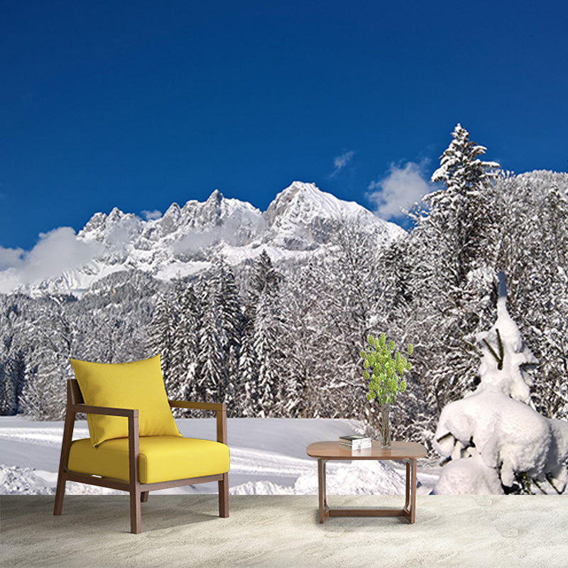 Forest Mural Mildew Resistant Contemporary Photography Sitting Room Wall Mural