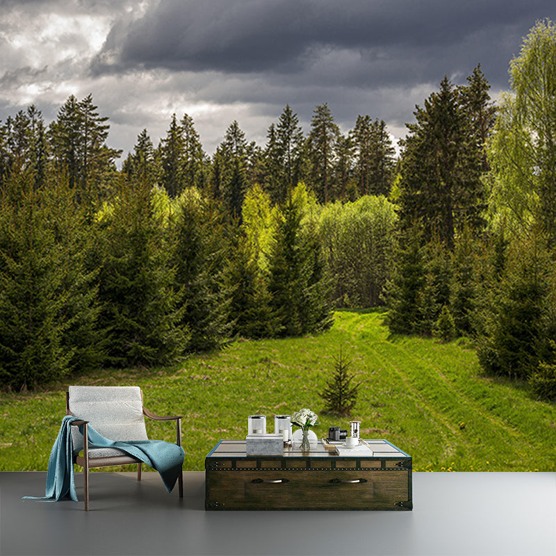 Forest Mural Mildew Resistant Contemporary Photography Sitting Room Wall Mural