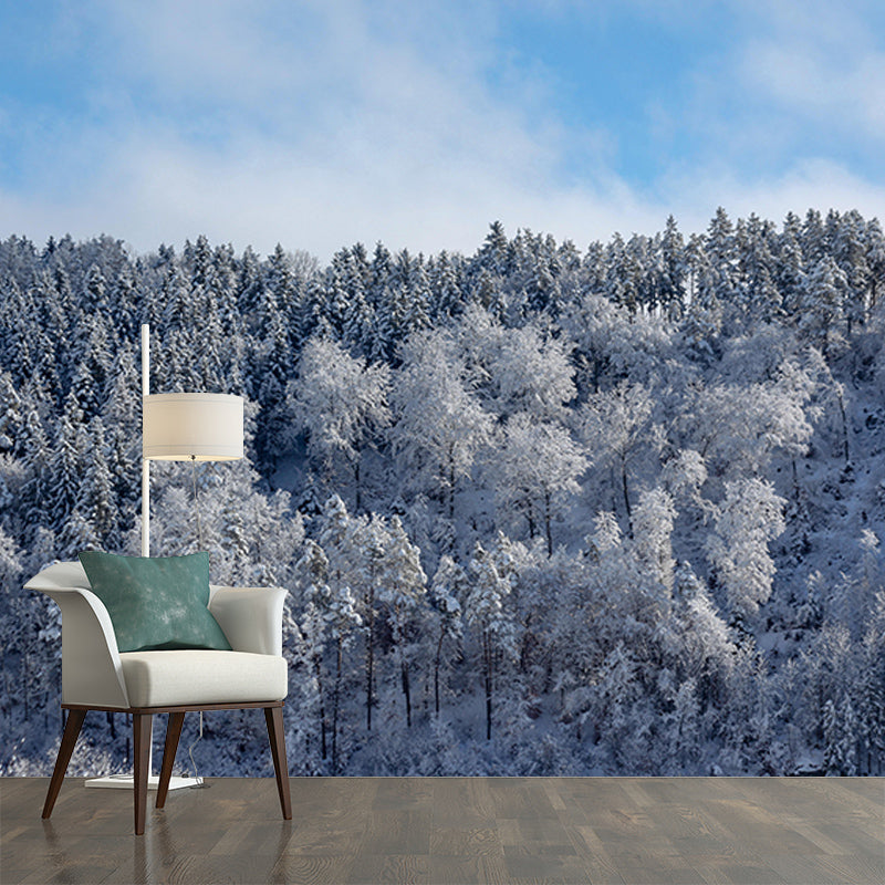 Forest Mural Customized Contemporary Photography Bedroom Wall Mural