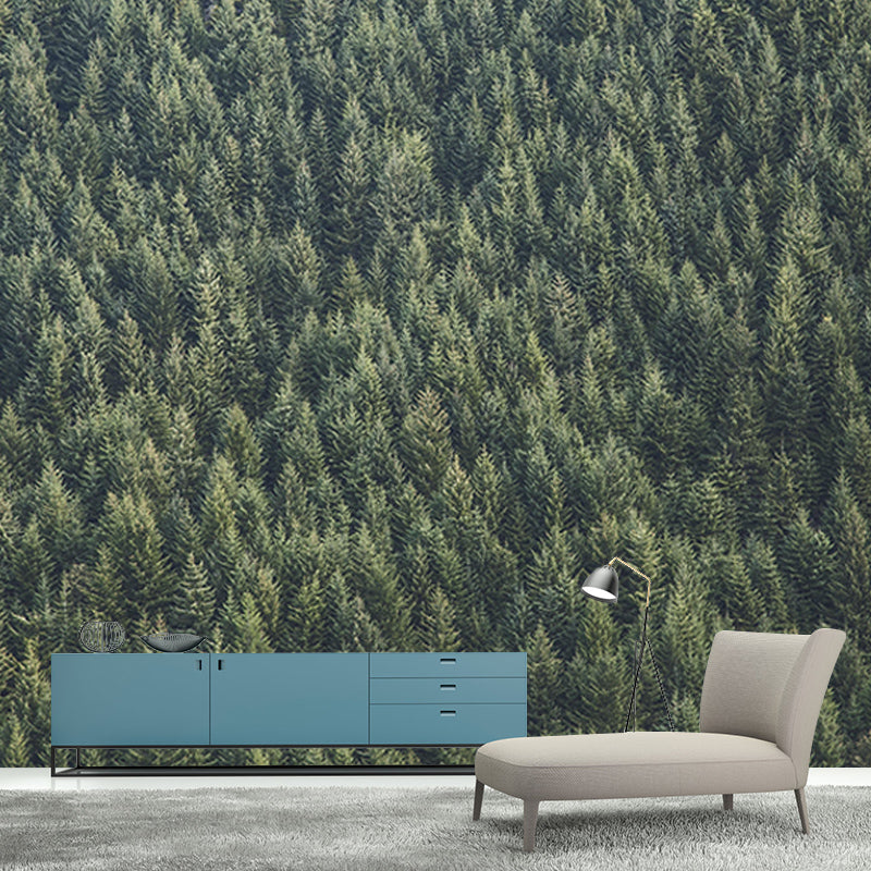 Natural Scene Mildew Resistant Forest Mural Contemporary Photography Room Wall Mural