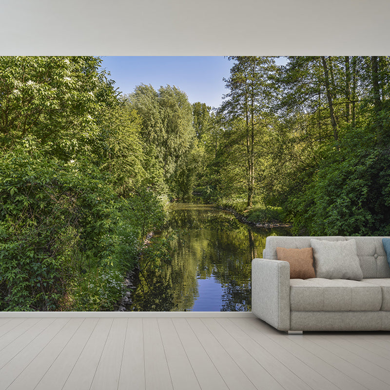 Natural Scene Mildew Resistant Forest Mural Contemporary Photography Room Wall Mural