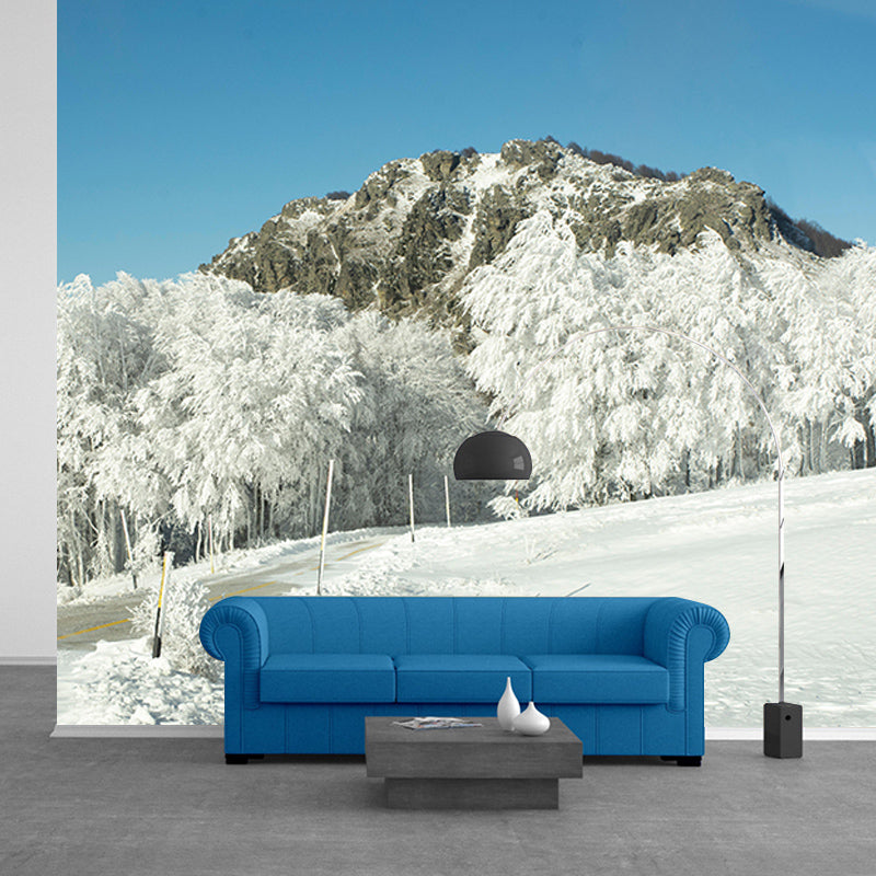 Contemporary Photography Eco-friendly Forest Mural Living Room Wall Mural