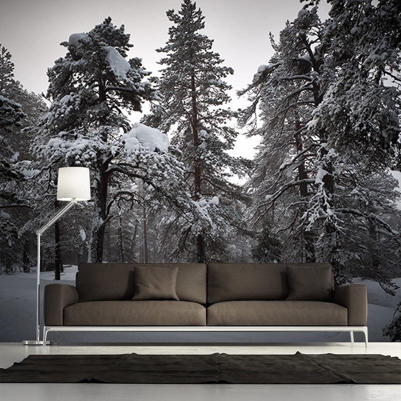 Contemporary Photography Eco-friendly Forest Mural Living Room Wall Mural