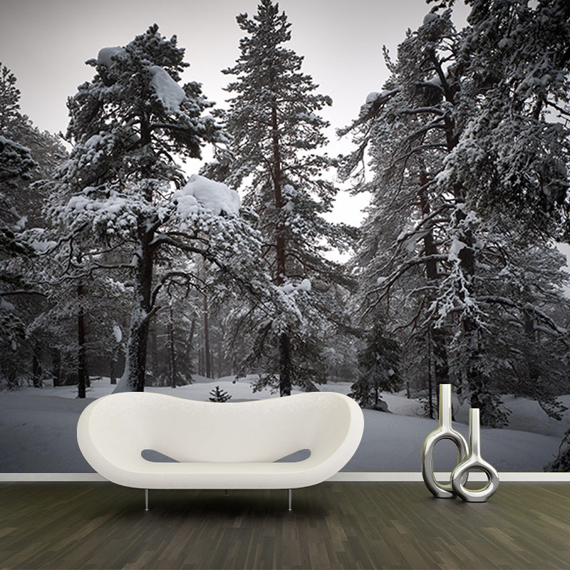 Contemporary Photography Eco-friendly Forest Mural Living Room Wall Mural