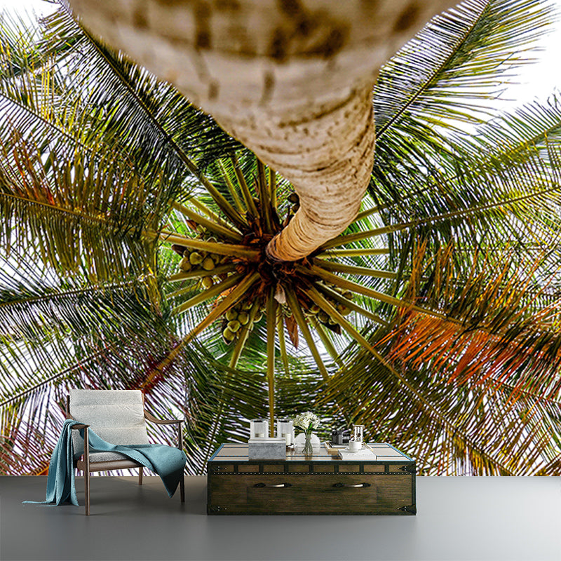 Customized Palm Tree Mural Tropical Mildew Resistant Sleeping Room Wall Mural