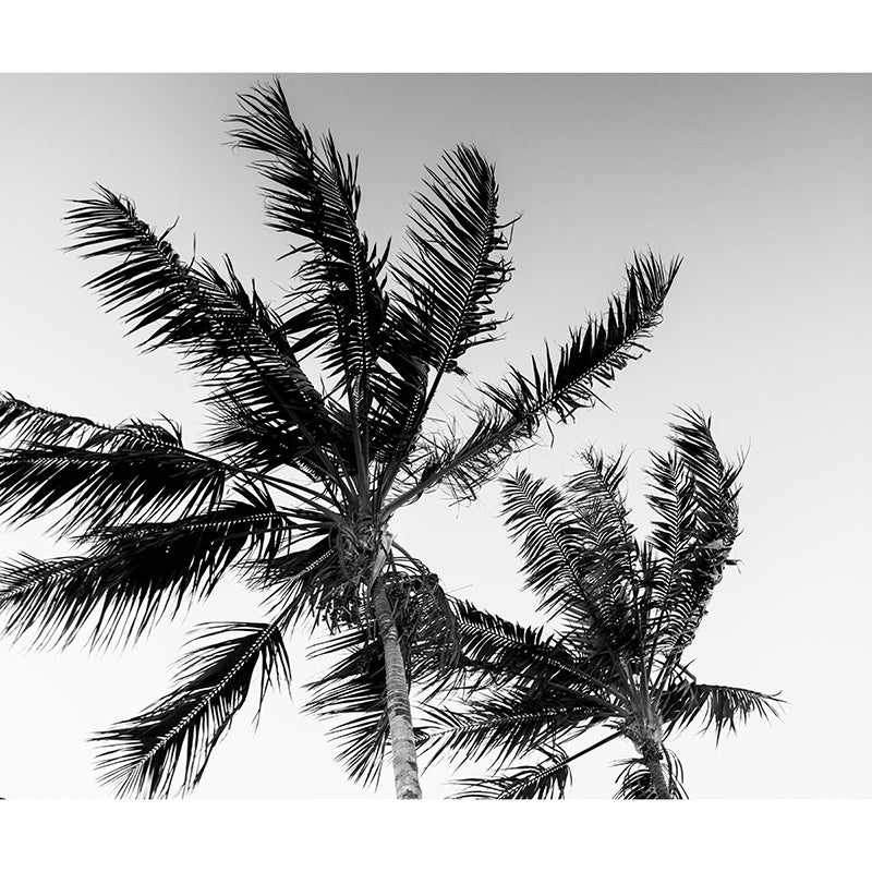 Customized Palm Tree Mural Tropical Mildew Resistant Sleeping Room Wall Mural