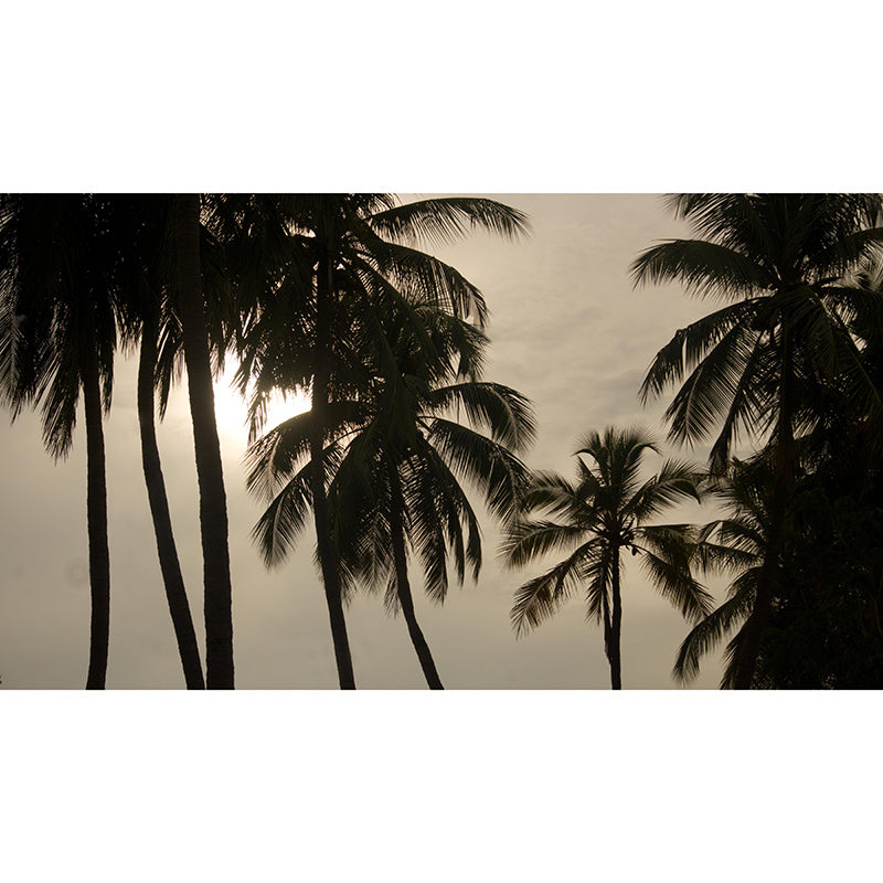 Mildew Resistant Mural Palm Tree Tropical Living Room Wall Mural