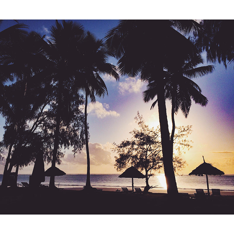 Stain Resistant Palm Tree Mural Tropical Photography Living Room Wall Mural