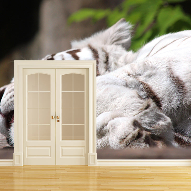 Zebra Mildew Resistant Wild Animal Mural Contemporary Photography Sleeping Room Wall Mural