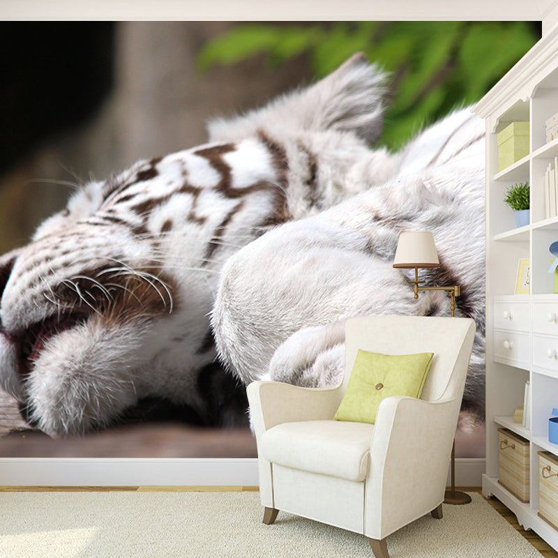 Zebra Mildew Resistant Wild Animal Mural Contemporary Photography Sleeping Room Wall Mural