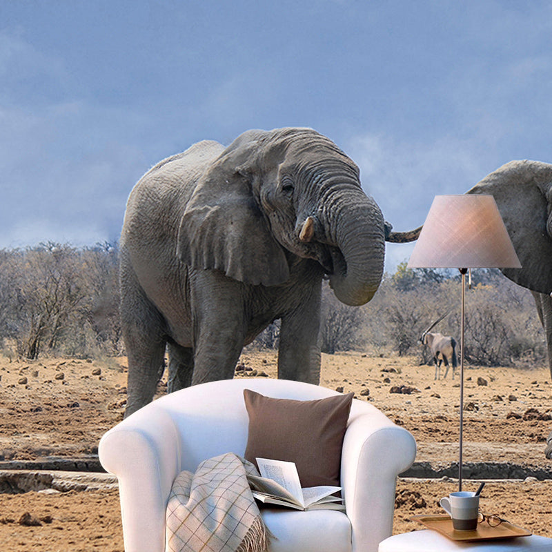 Zebra Mildew Resistant Wild Animal Mural Contemporary Photography Sleeping Room Wall Mural