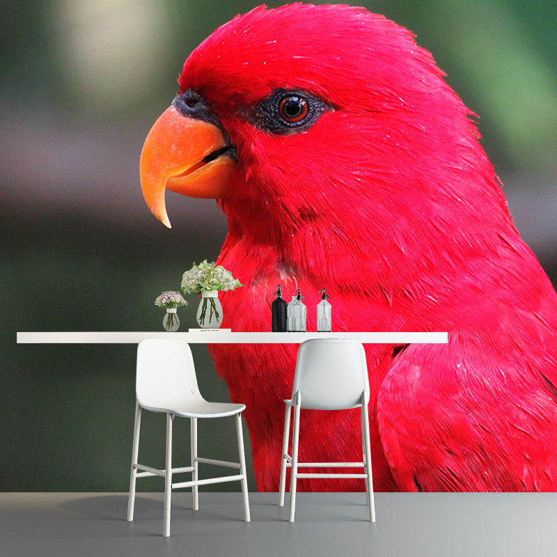 Zebra Mildew Resistant Wild Animal Mural Contemporary Photography Sleeping Room Wall Mural