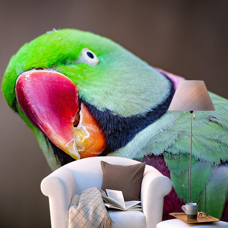 Bird Mildew Resistant Wild Animal Mural Contemporary Photography Bedroom Wall Mural