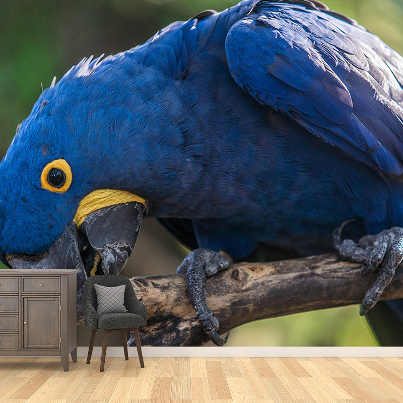 3D Wild Animal Mildew Resistant Mural Contemporary Photography Living Room Wall Mural