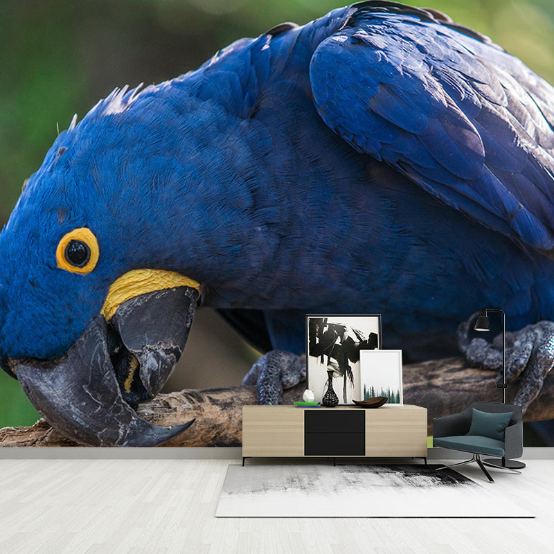 3D Wild Animal Mildew Resistant Mural Contemporary Photography Living Room Wall Mural