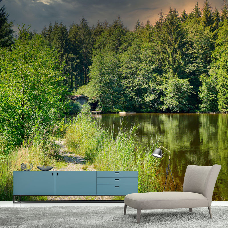 Photography Forest Landscapes Mural Eco-friendly Wallpaper for Home Decor