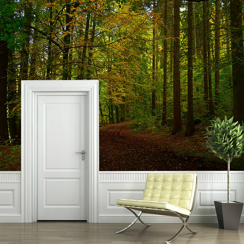 Photography Forest Landscapes Mural Eco-friendly Wallpaper for Home Decor