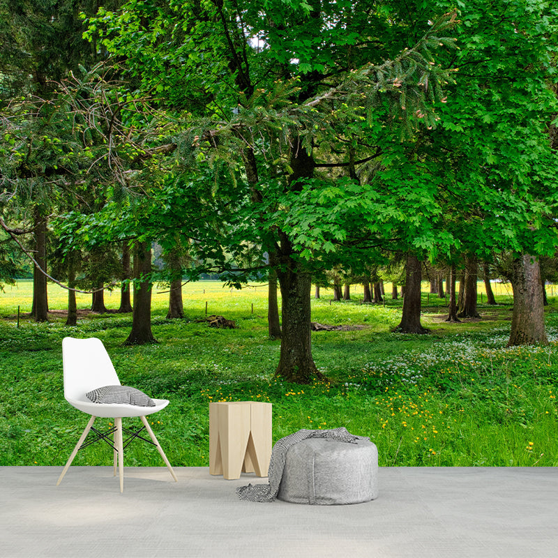 Photography Forest Landscapes Mural Eco-friendly Wallpaper for Room