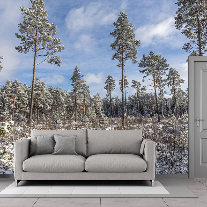 Photography Forest Landscapes Mural Eco-friendly Wallpaper for Room