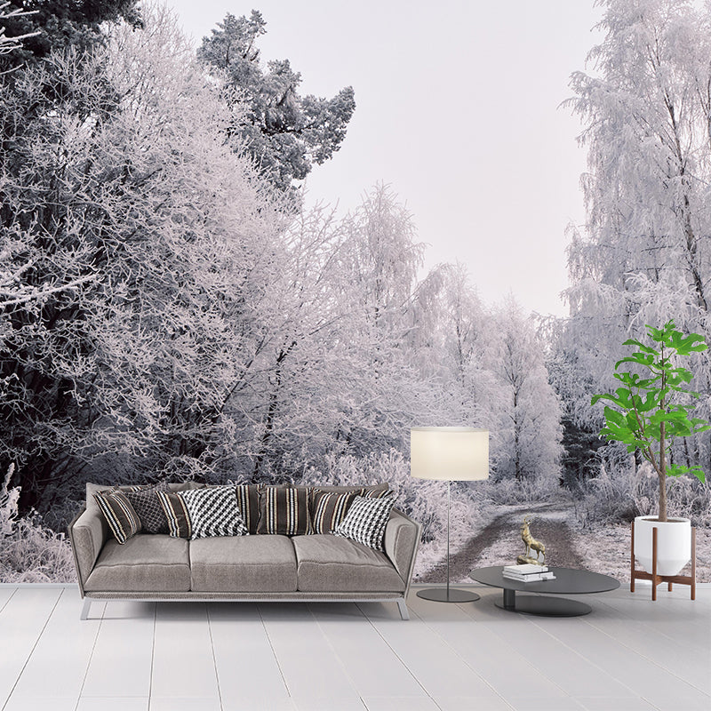 Photography Forest Landscapes Mural Eco-friendly Wallpaper for Room