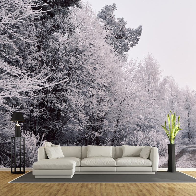 Photography Forest Landscapes Mural Eco-friendly Wallpaper for Room