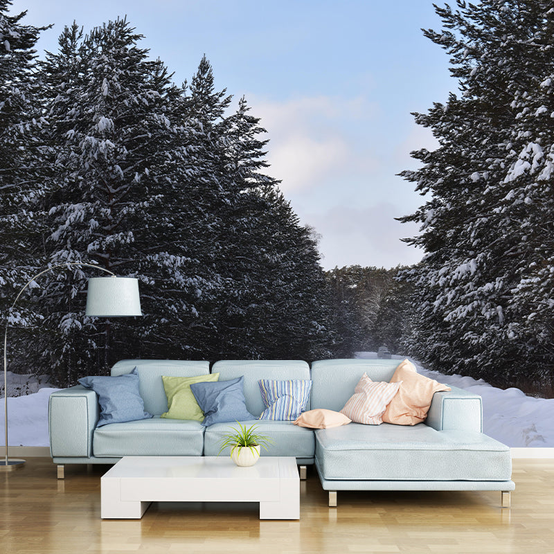 Eco-friendly Photography Forest Landscapes Mural Wallpaper for Decoration