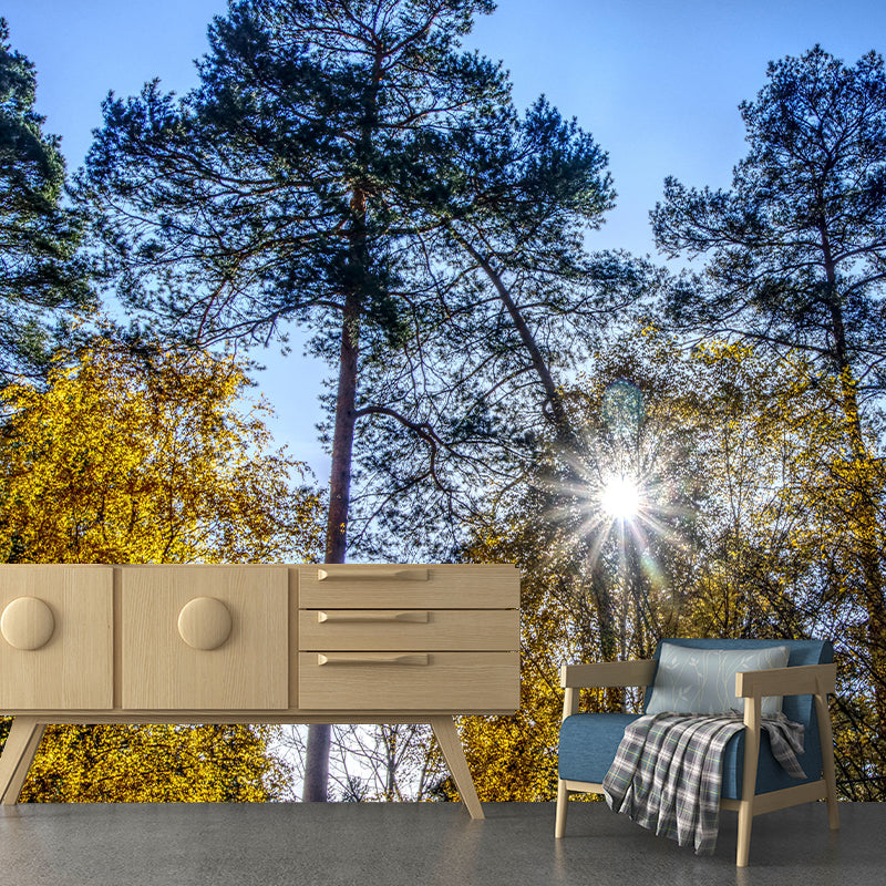 Eco-friendly Photography Forest Landscapes Mural Wallpaper for Decoration