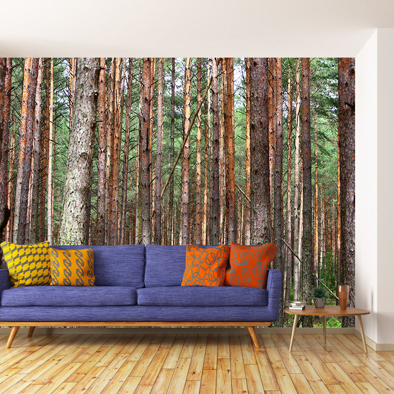 Horizontal Photography Forest Landscapes Mural Eco-friendly Wallpaper for Wall Decor