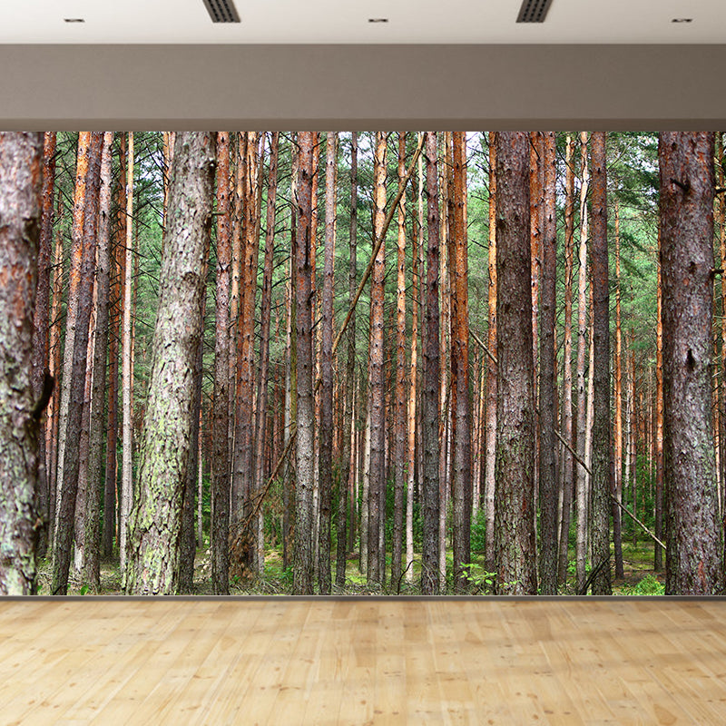 Horizontal Photography Forest Landscapes Mural Eco-friendly Wallpaper for Wall Decor